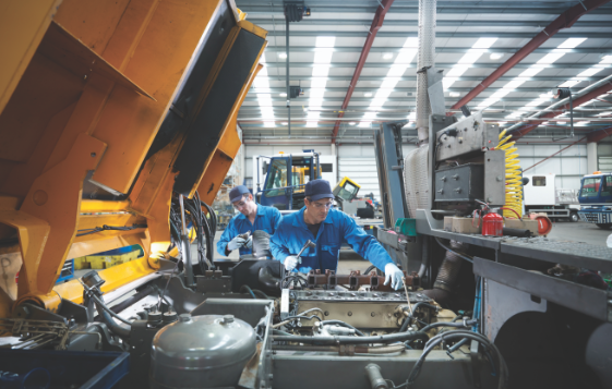 MediaBakery_CUL0140358_1